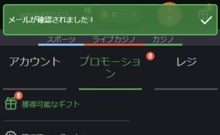 ボンズカジノ メール認証