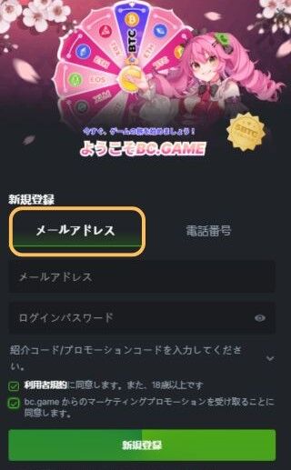 BC game 登録画面　メール